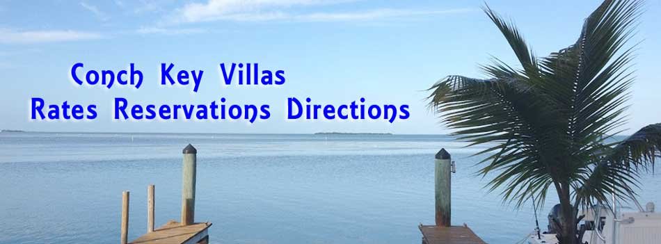 Conch Key Villas Florida Keys Rentals