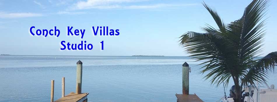 Conch Key Villas Florida Keys Rentals